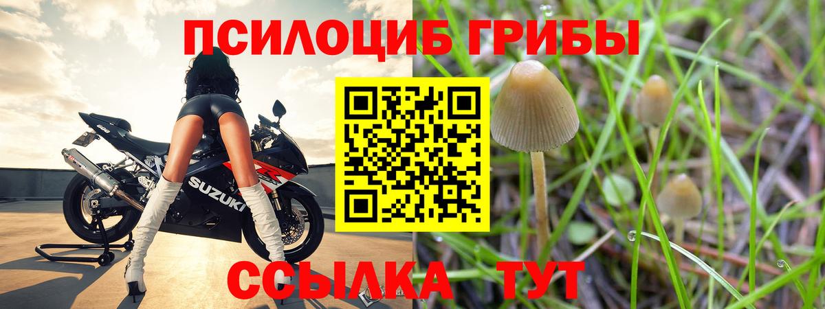 Галлюциногенные грибы MAGIC MUSHROOMS Советск