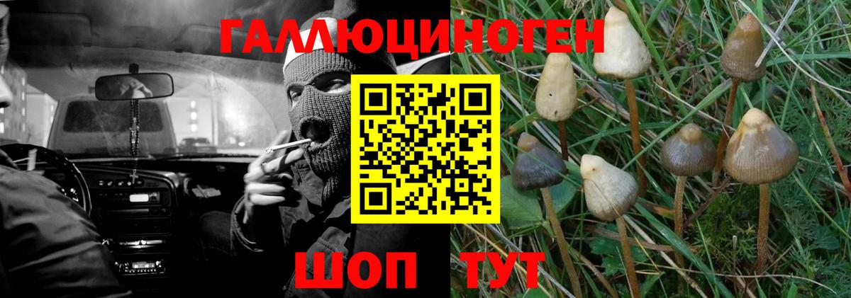 купить наркоту  Псилоцибиновые грибы мухоморы  Вход с VPN  Советск 